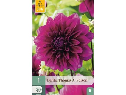 Snímek obrazovky 2026 02 18 093348