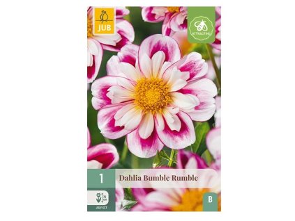 Snímek obrazovky 2026 02 18 093649