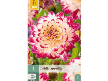 Snímek obrazovky 2026 02 18 092907