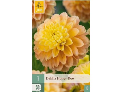 Snímek obrazovky 2026 02 18 093105