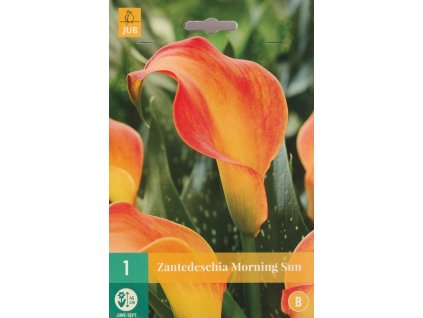 Snímek obrazovky 2026 02 18 092158