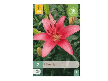 Snímek obrazovky 2026 02 18 094655