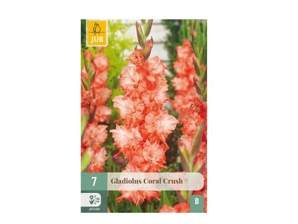 Snímek obrazovky 2026 02 18 094220