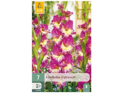 Snímek obrazovky 2026 02 18 094007