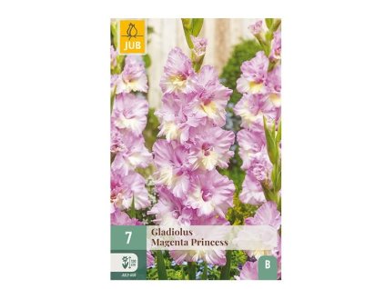 Snímek obrazovky 2026 02 18 094517