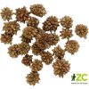 Dekorace - Star Flower - 12 g