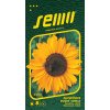 Slunečnice roční - Sonja 15s