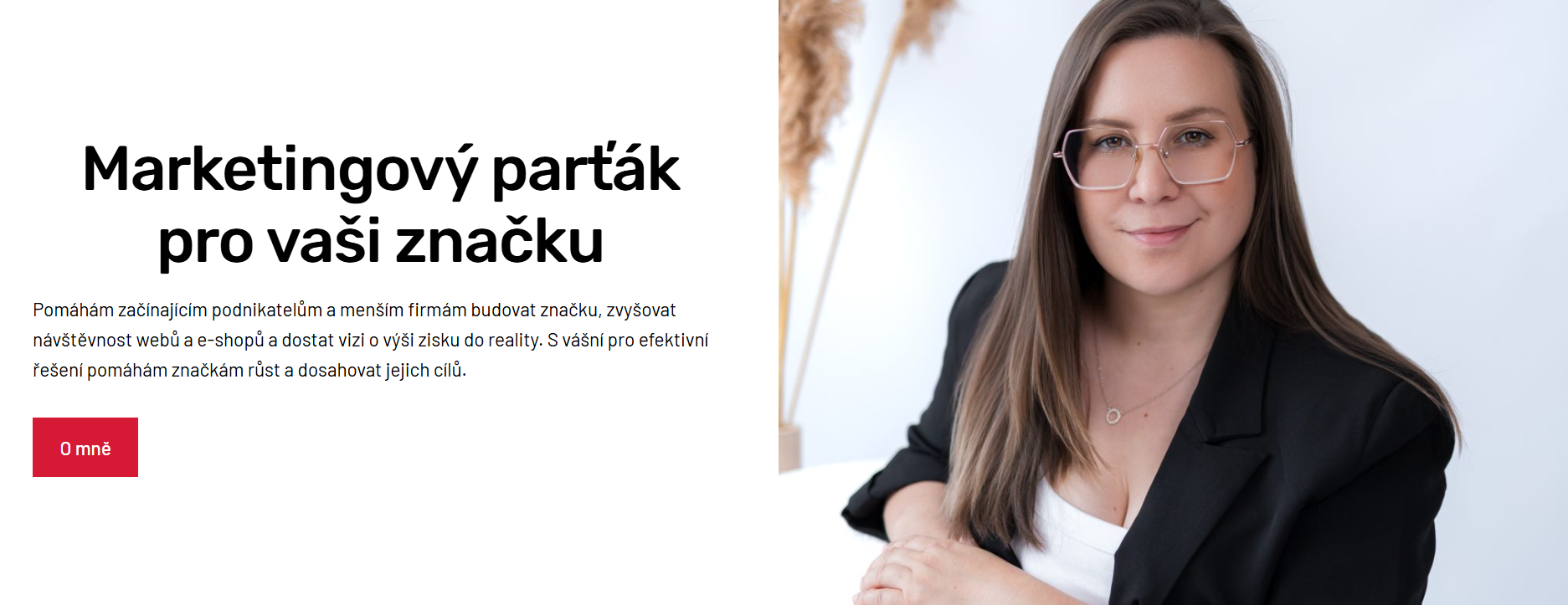 Marketing konzultace značka růsto rozvoj firmy