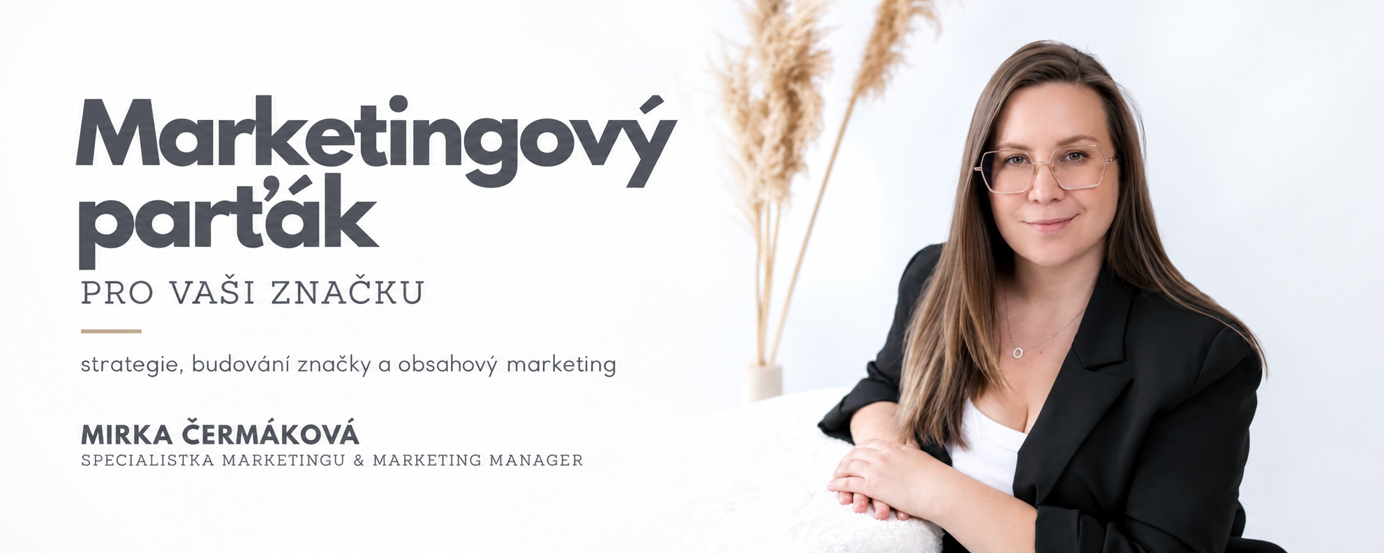 Marketing konzultace značka růsto rozvoj firmy