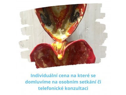 Individuální cena na které se domluvíme na osobním setkání či telefonické konzultaci(1)