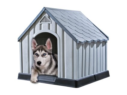 8720286662236 m en hd 1