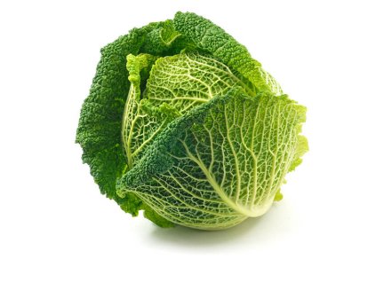 Kel hlávkový Albánsko