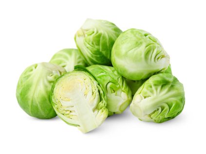 Kel ružičkový Maroko