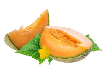 Melón žltý Cantaloupe ESP
