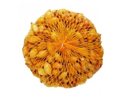 Sadzačka cibuľa Sturon Holandsko 1kg