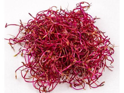 Výhonky č.repa PL I.tr. 50g