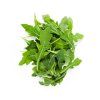 Rucola  bal. 1ks Taliansko l.tr. 125g