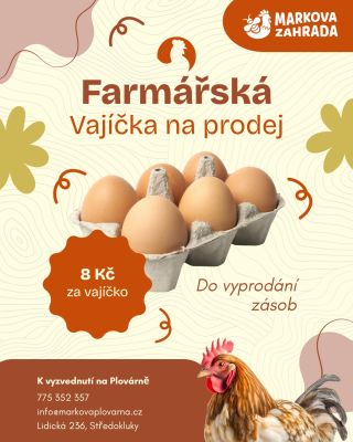 🥚 Nabízíme čerstvá farmářská vajíčka. 💰 8 Kč za kus 📍 K vyzvednutí na Markově Plovárně ve Středoklukách Do vyprodání zásob.
