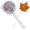maple lollipop list