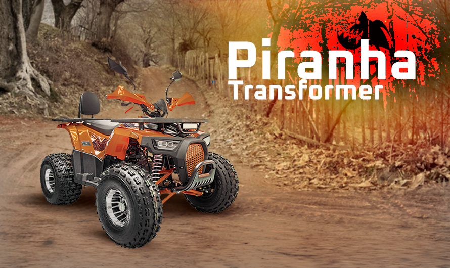 Piranha-Transformer-125cc-3G8