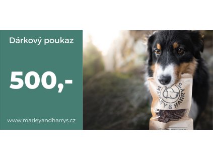 Dárkový poukaz 500 Kč
