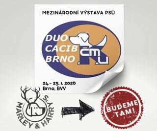 Chystáte se na Mezinárodní výstavu psů DUO CACIB? Pokud ano, nezapomeňte nás navštívit v pavilonu G1 na brněnském...