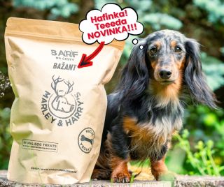 Představujeme vám našeho bažanta na cesty! A nebojte, opravdu se jedná o přírodní krmivo... 😅 Tentokrát jsme do něj...