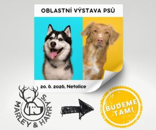 Zítra bude v Netolicích Oblastní výstava psů. Bude na dostihovém závodišti u zámku Kratochvíle (nádherné místo,...