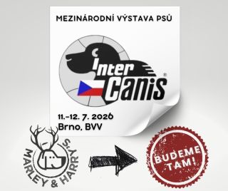 Tento víkend bude oblíbená velká akce v Brně na BVV - výstava Intercanis. Pokud byste rádi navštívili náš stánek, budu tam...