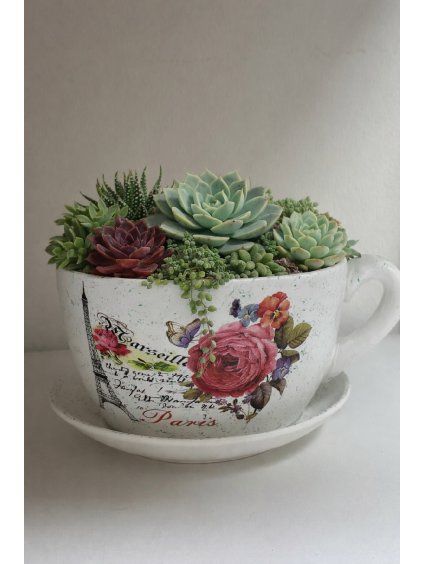 13F07ED9 7925 4913 B6A1 7237BBE8DCF9