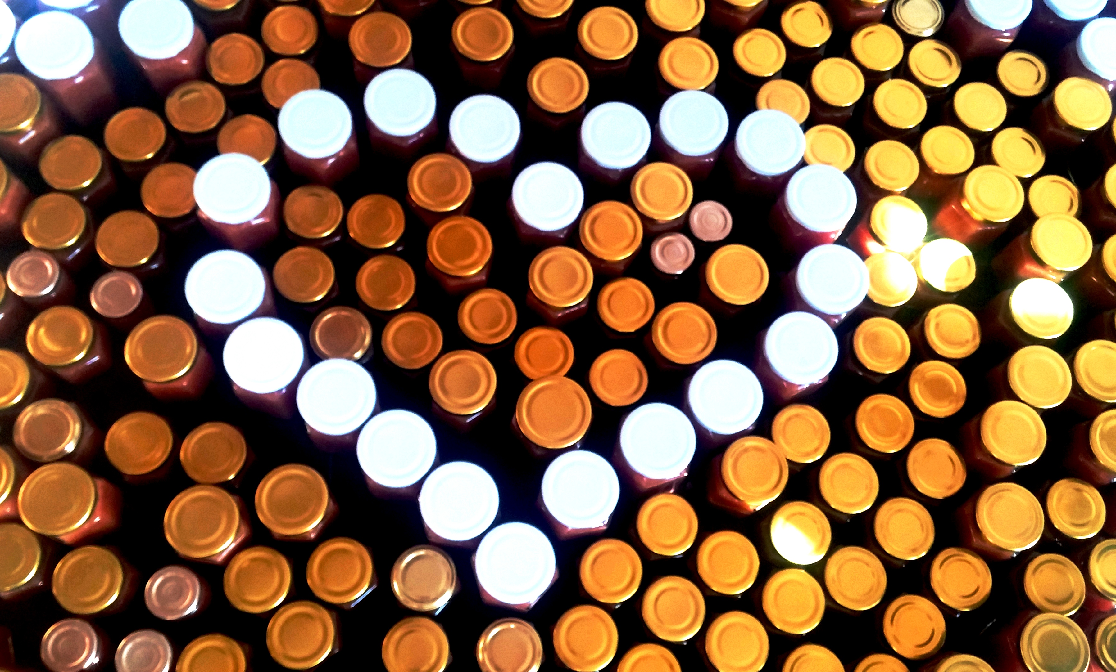 1000 důvodů, proč to dělám