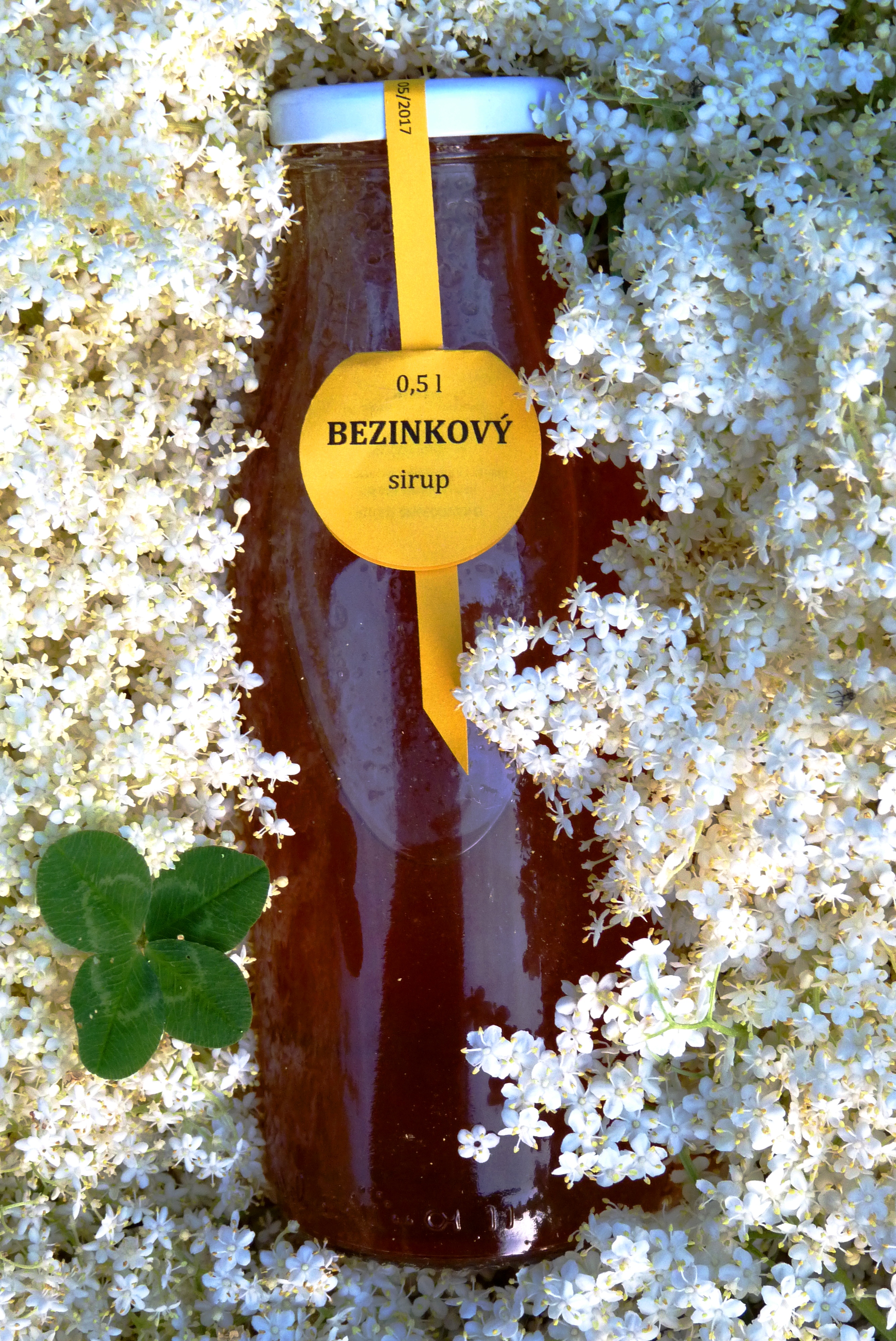 AKTUALITY kolem dokola, trhy, marmošky