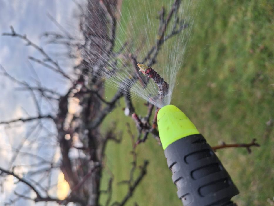 Jak na přezimující škůdce: Profesionální strategie pro zdravý sad bez kompromisů