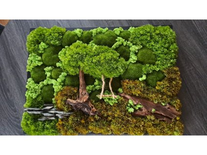 Mechove obrazy design MARPA MOSS 4