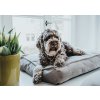 Ortopedický polštář pro psa Hunter Merida 
