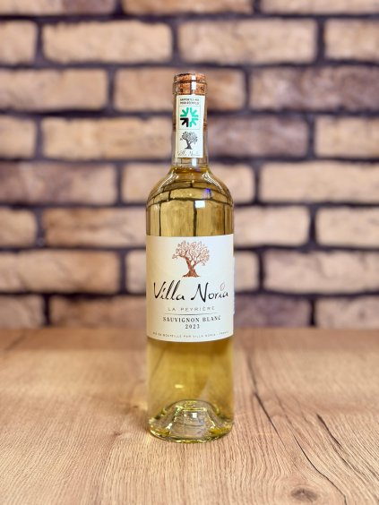 Sauvignon Blanc Villa Noria