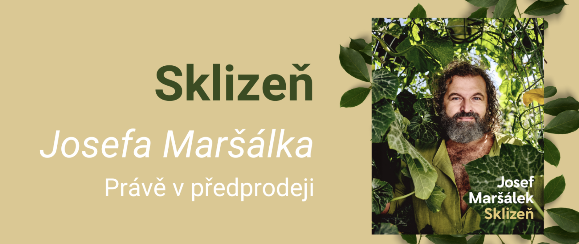 Sklizeň
