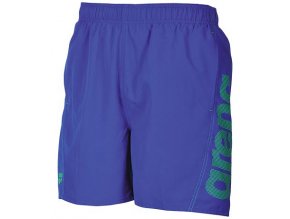 Fundamentals Logo Boxer Blue green