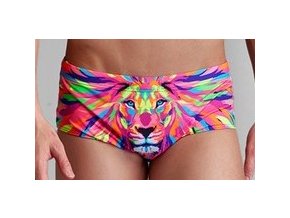 Pride Power Mens Trunks