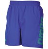 Fundamentals Logo Boxer Blue green