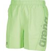 Fundamentals Logo Boxer Green