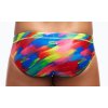 Stroked Mens Classic Briefs