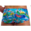 Duuude Mens Trunks