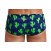 funky trunks sidewinder prickly pete boxer (1)