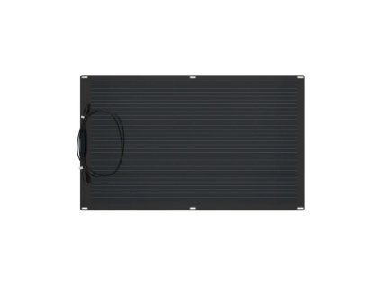 100W 2