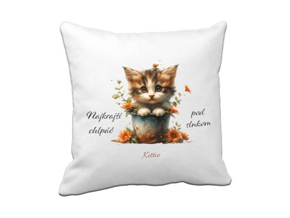 Template Vankúš Najkrajši chlpač pod slnkom