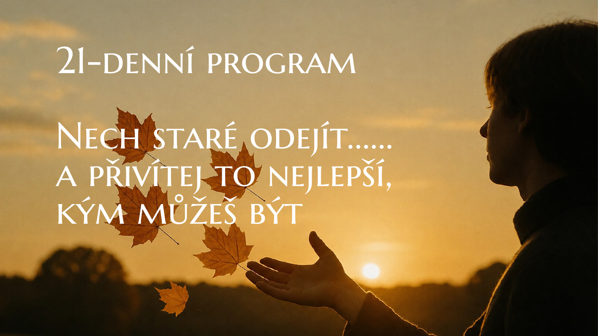 21-denní program