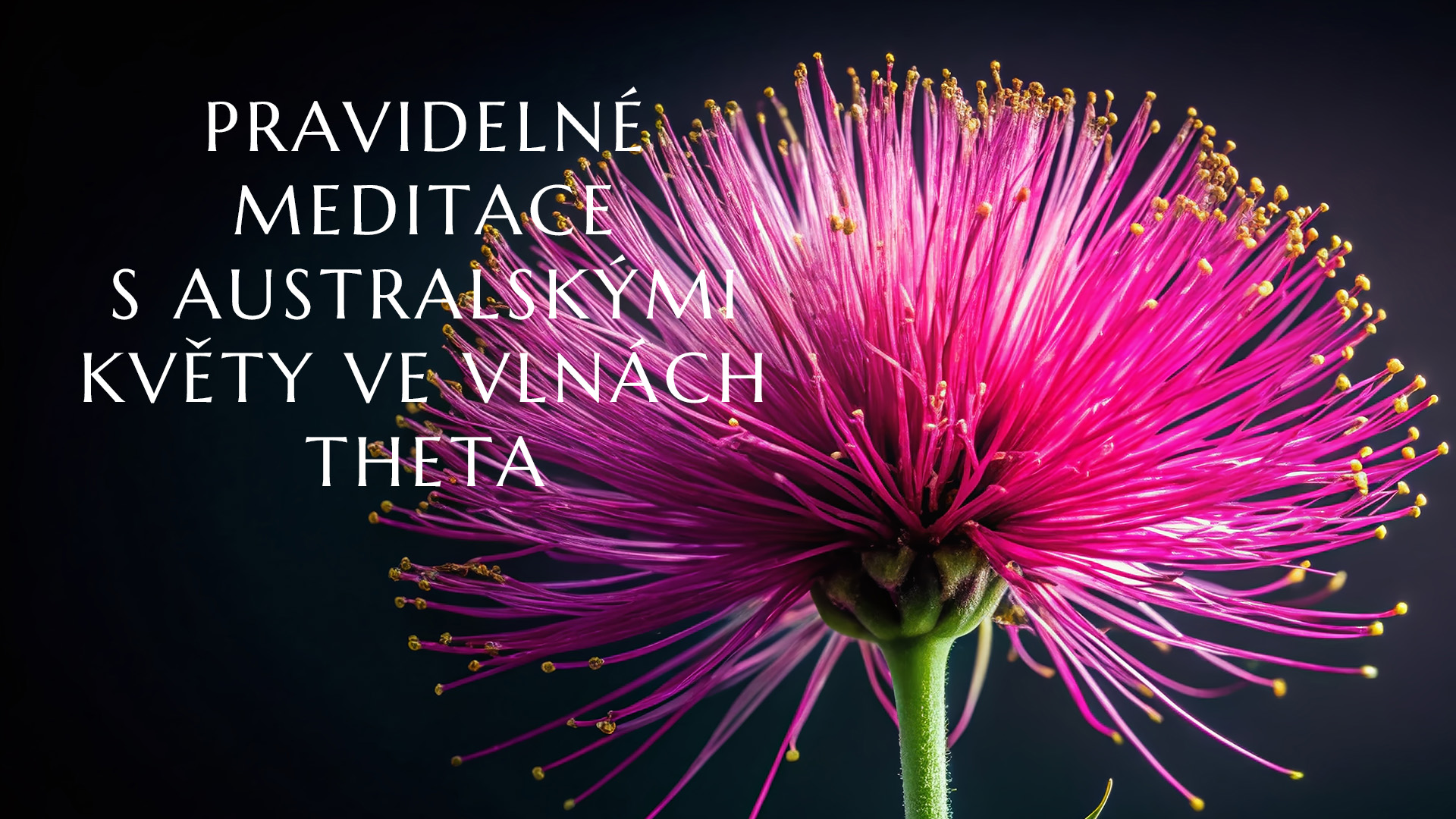 Pravidelné meditace