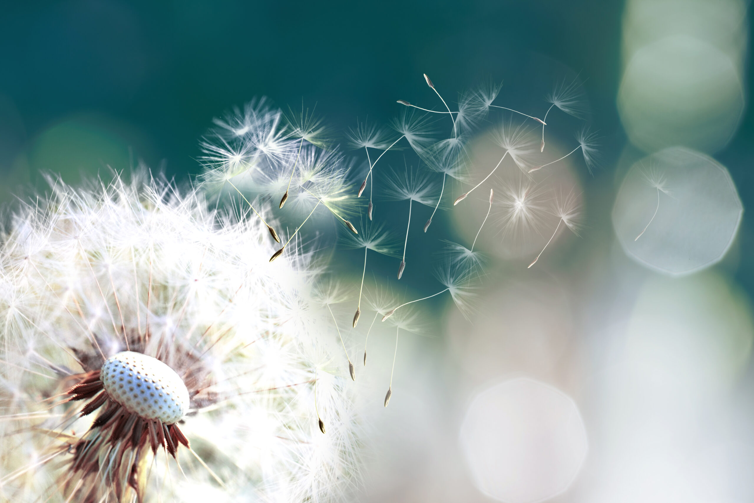 iStock-1055451018-scaled