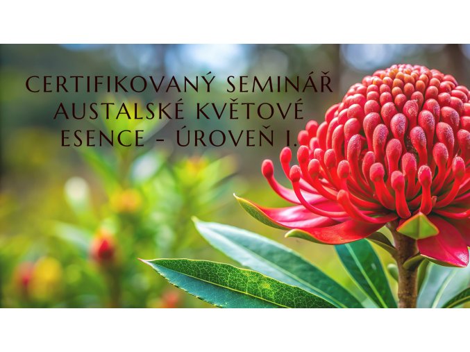 Banner web ABFE uroven I